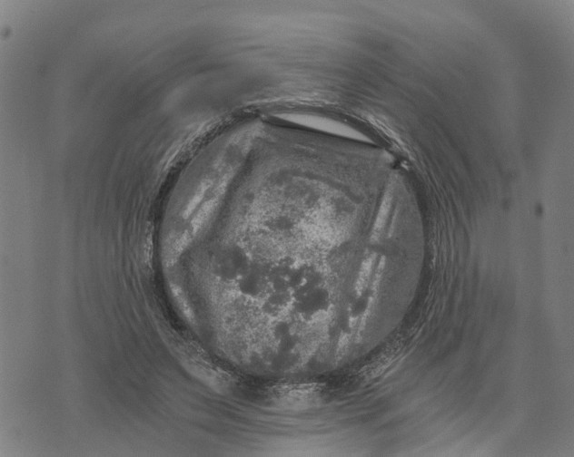 X0000073750495200608241350