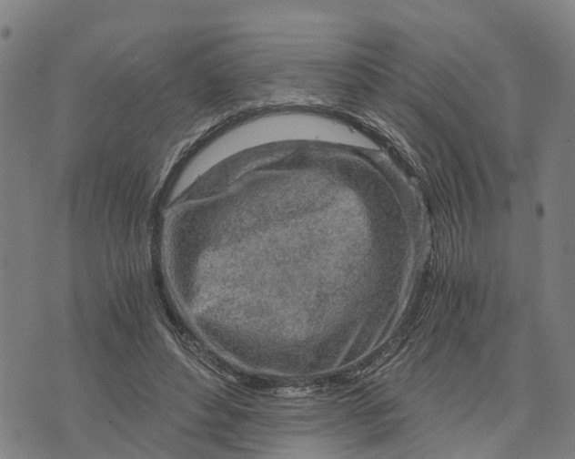 X0000073750496200608241350