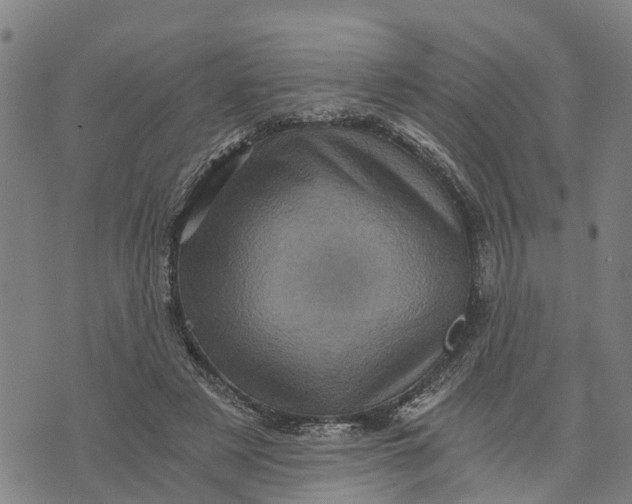 X0000073750497200608241350