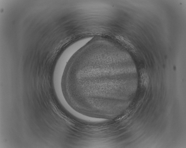 X0000073750498200608241350