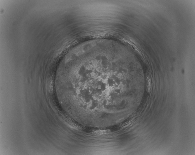 X0000073750499200608241350