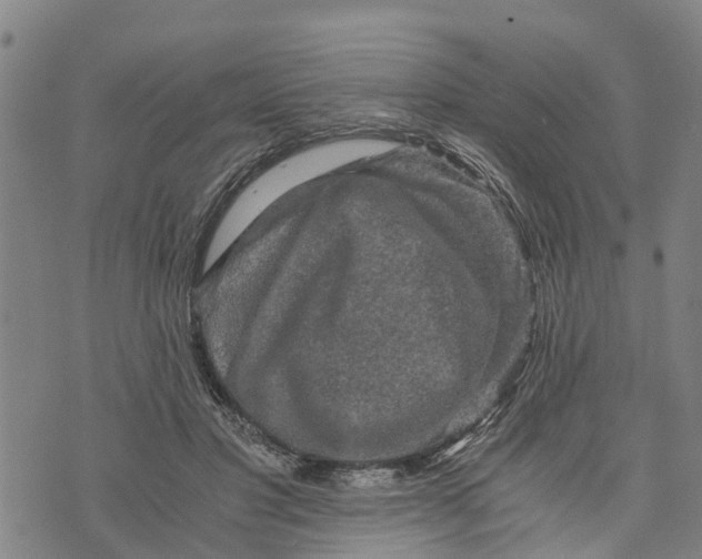 X0000073750501200608241350