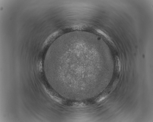 X0000073750502200608241350