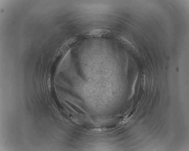 X0000073750504200608241350