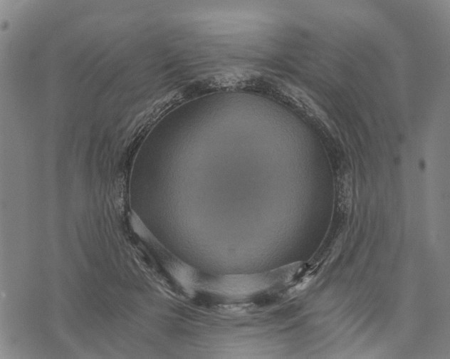 X0000073750505200608241350