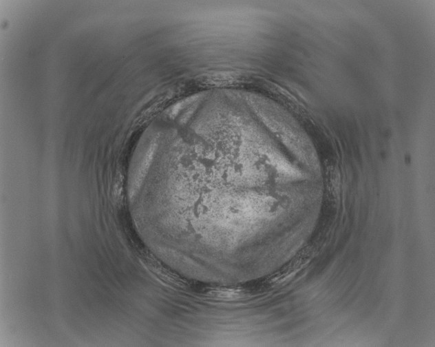 X0000073750507200608241350