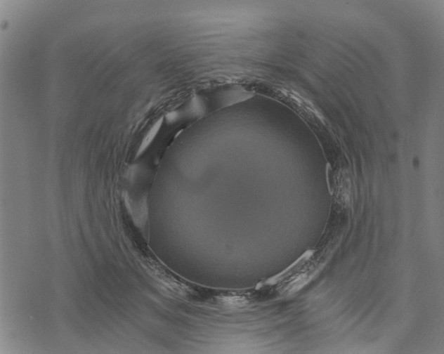 X0000073750509200608241350