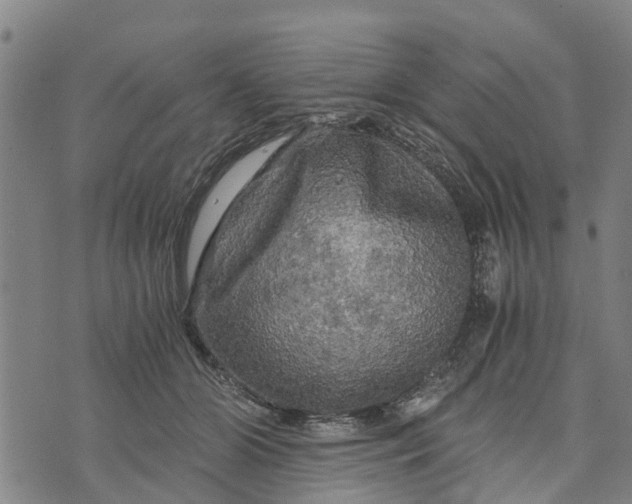 X0000073750510200608241350