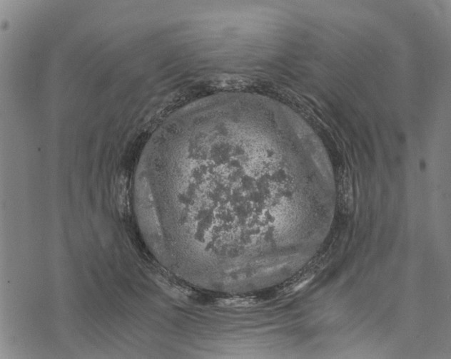 X0000073750511200608241350