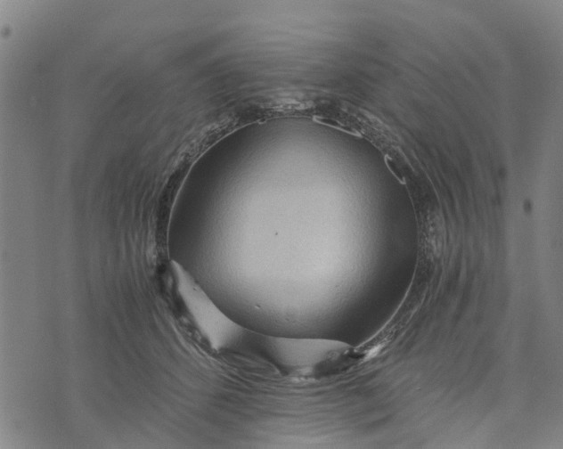 X0000073750512200608241350