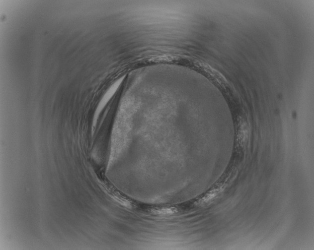 X0000073750513200608241350