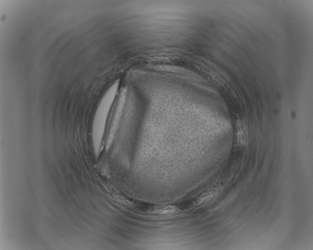 X0000073750514200608241350