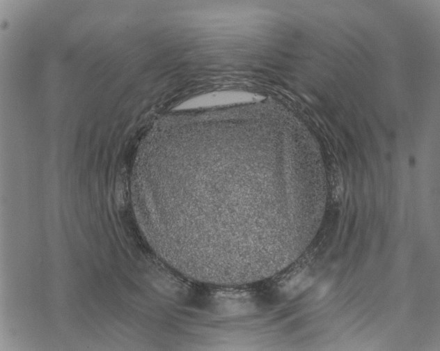 X0000073750515200608241350