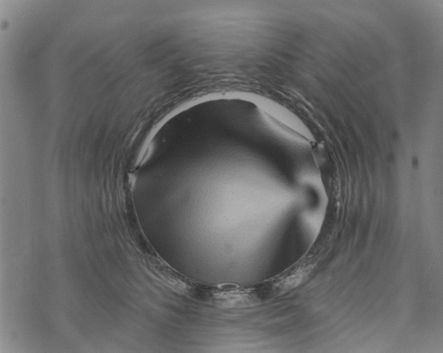 X0000073750516200608241350