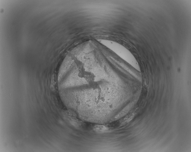 X0000073750519200608241350