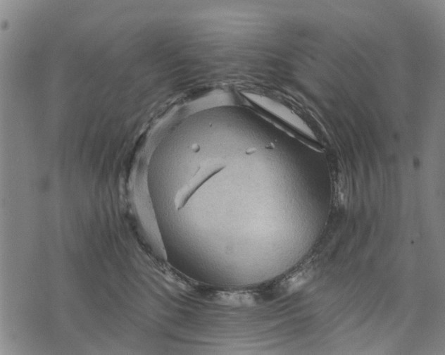 X0000073750520200608241350