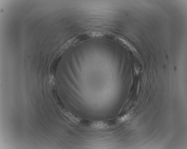 X0000073750521200608241350