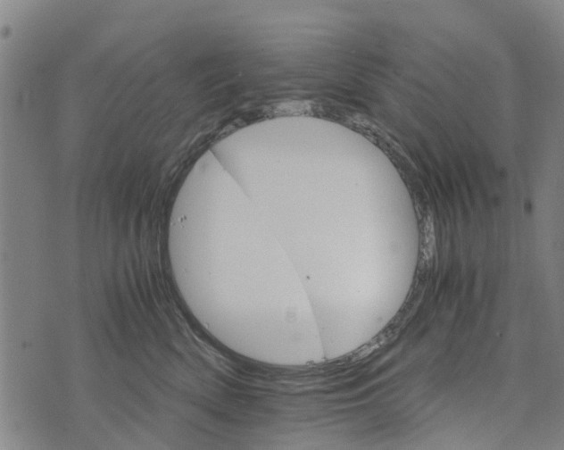 X0000073750522200608241350