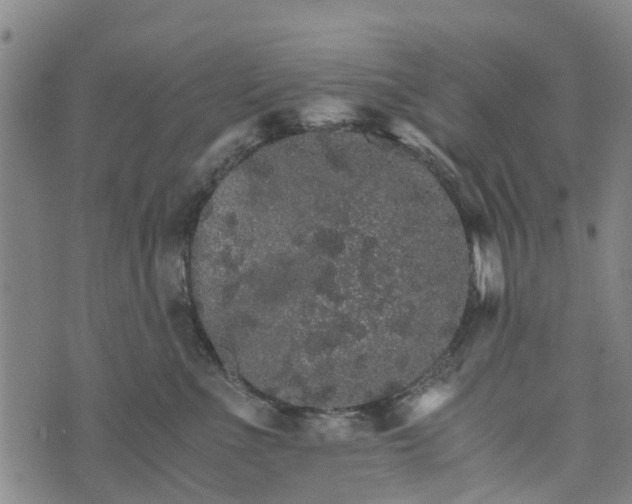 X0000073750523200608241350