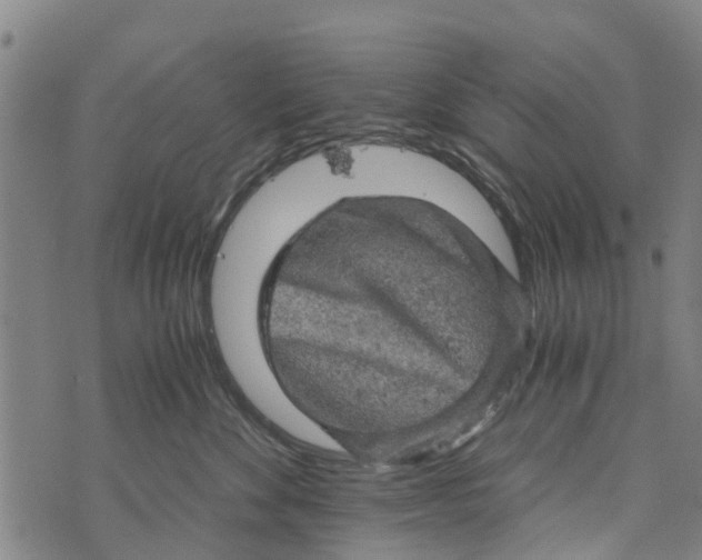 X0000073750524200608241350