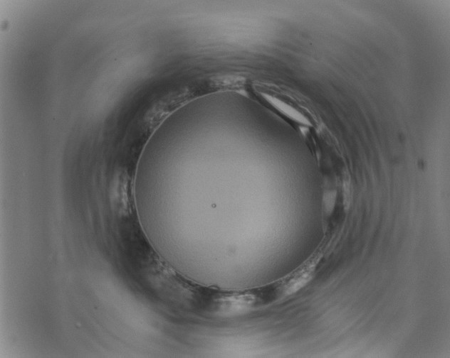 X0000073750525200608241350