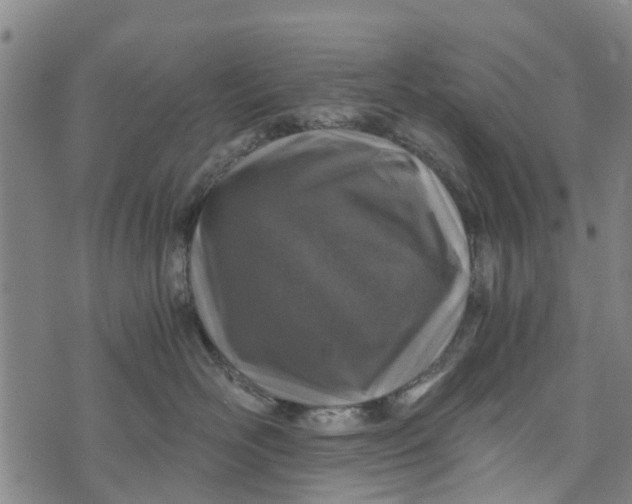 X0000073750526200608241350