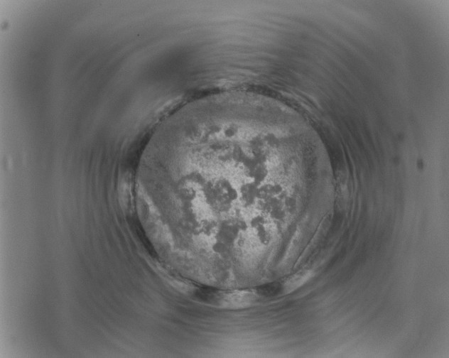 X0000073750527200608241350