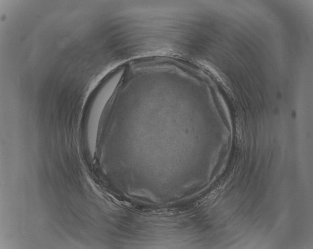 X0000073750532200608241349