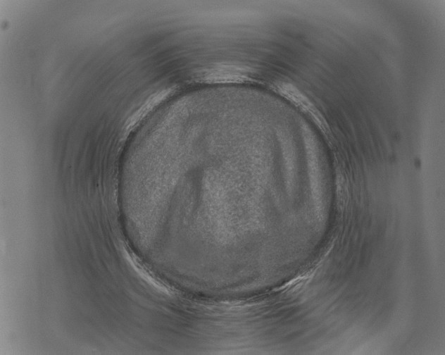 X0000073750533200608241349