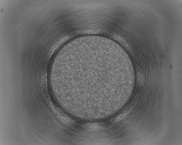 X0000073750534200608241349