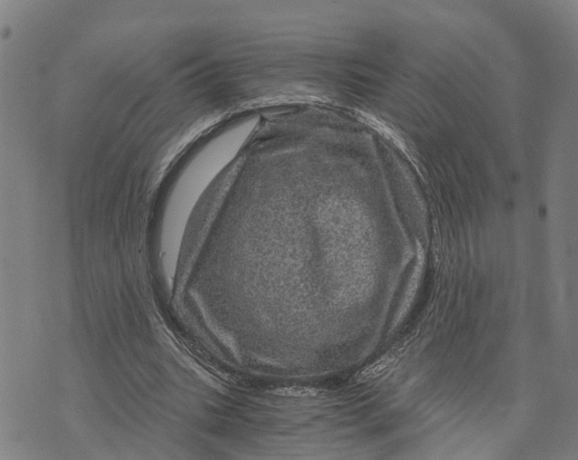 X0000073750535200608241349