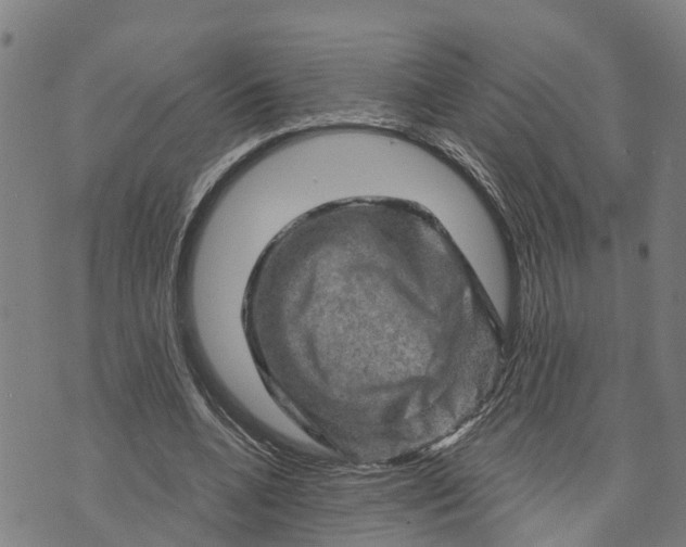 X0000073750536200608241349