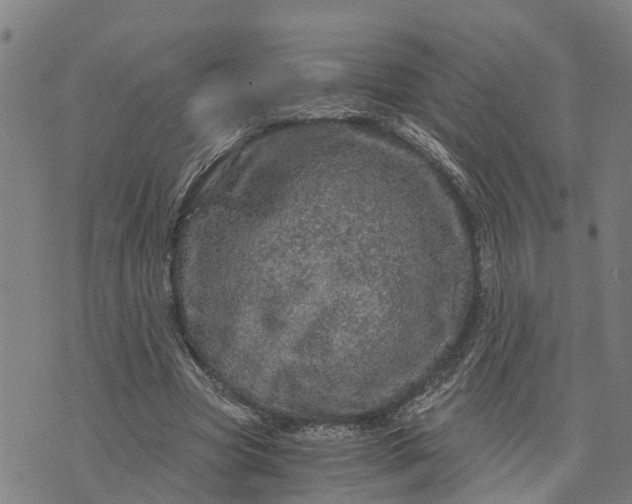 X0000073750537200608241349