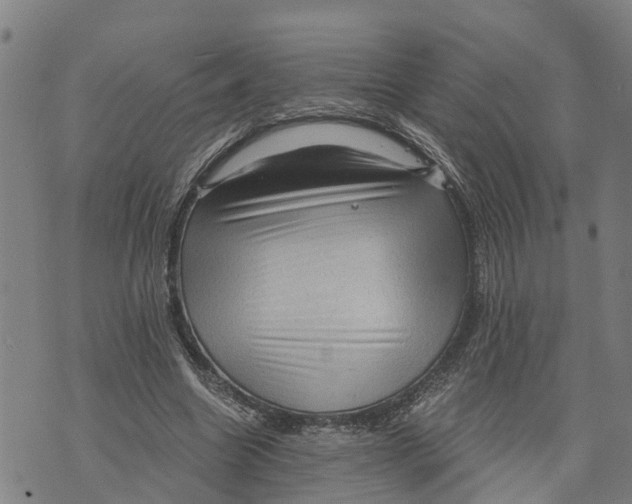 X0000073750538200608241349