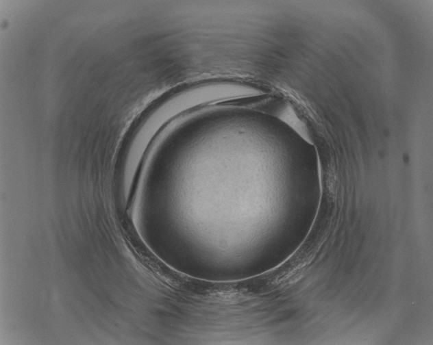 X0000073750540200608241349