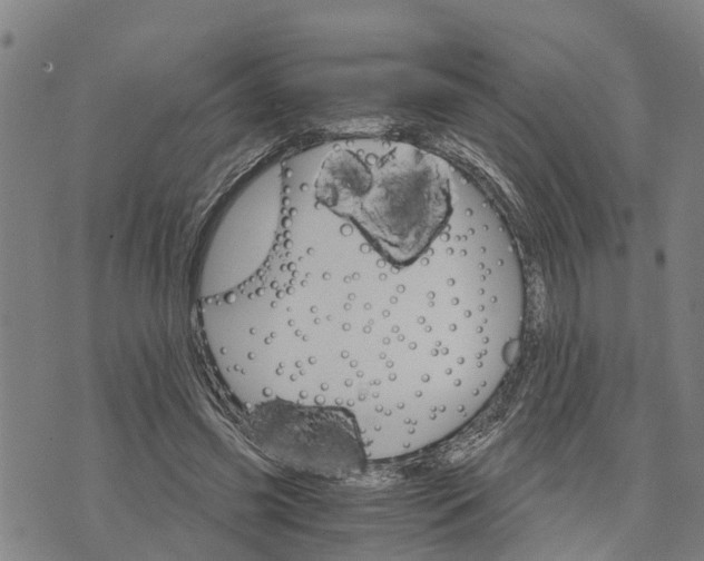 X0000073750541200608241349