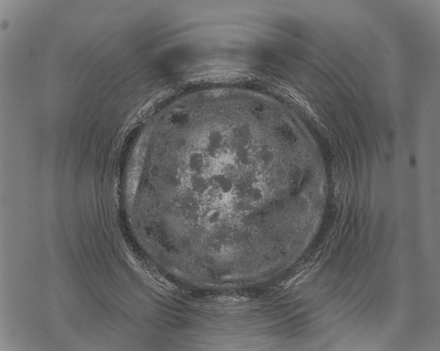 X0000073750542200608241349