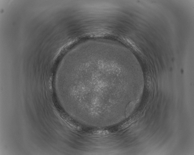 X0000073750543200608241349