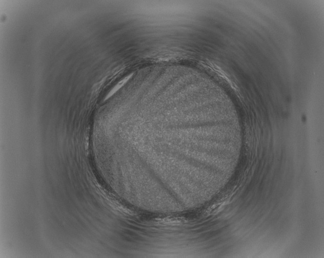 X0000073750545200608241349