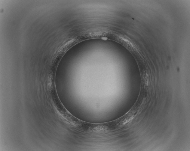 X0000073750546200608241349