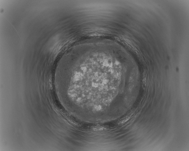 X0000073750547200608241349