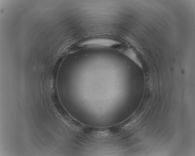 X0000073750548200608241349