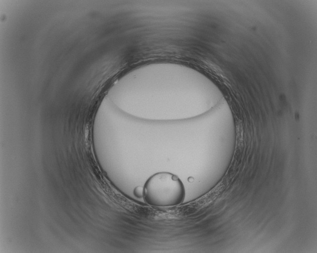 X0000073750550200608241350