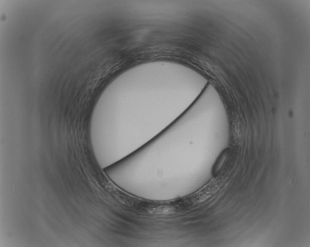 X0000073750551200608241350