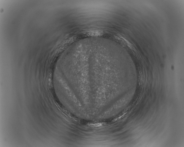 X0000073750553200608241350