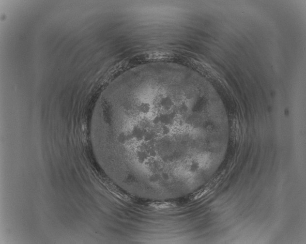 X0000073750557200608241350