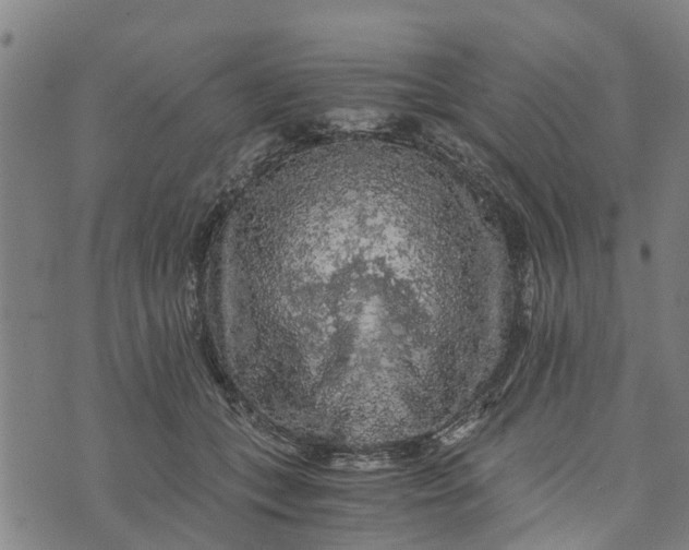 X0000073750559200608241350