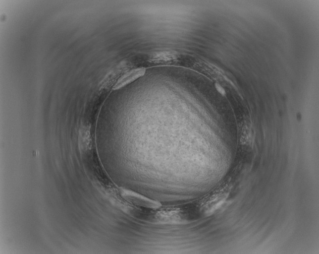 X0000073750560200608241350