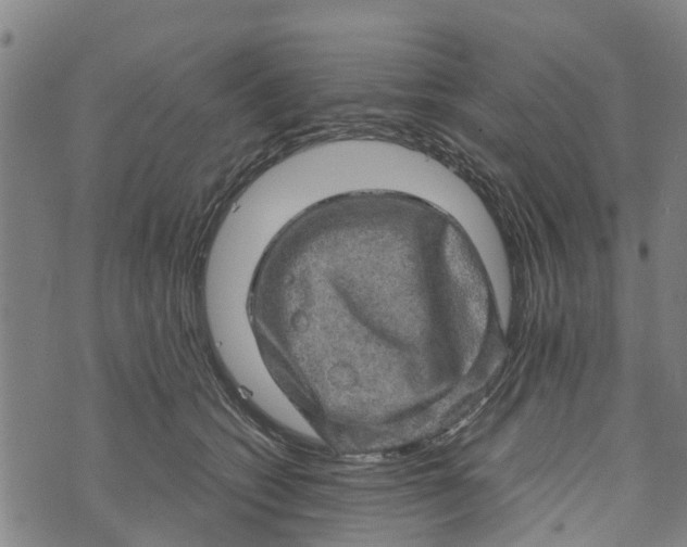 X0000073750562200608241350