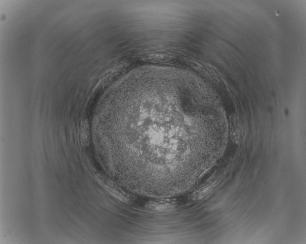 X0000073750563200608241350